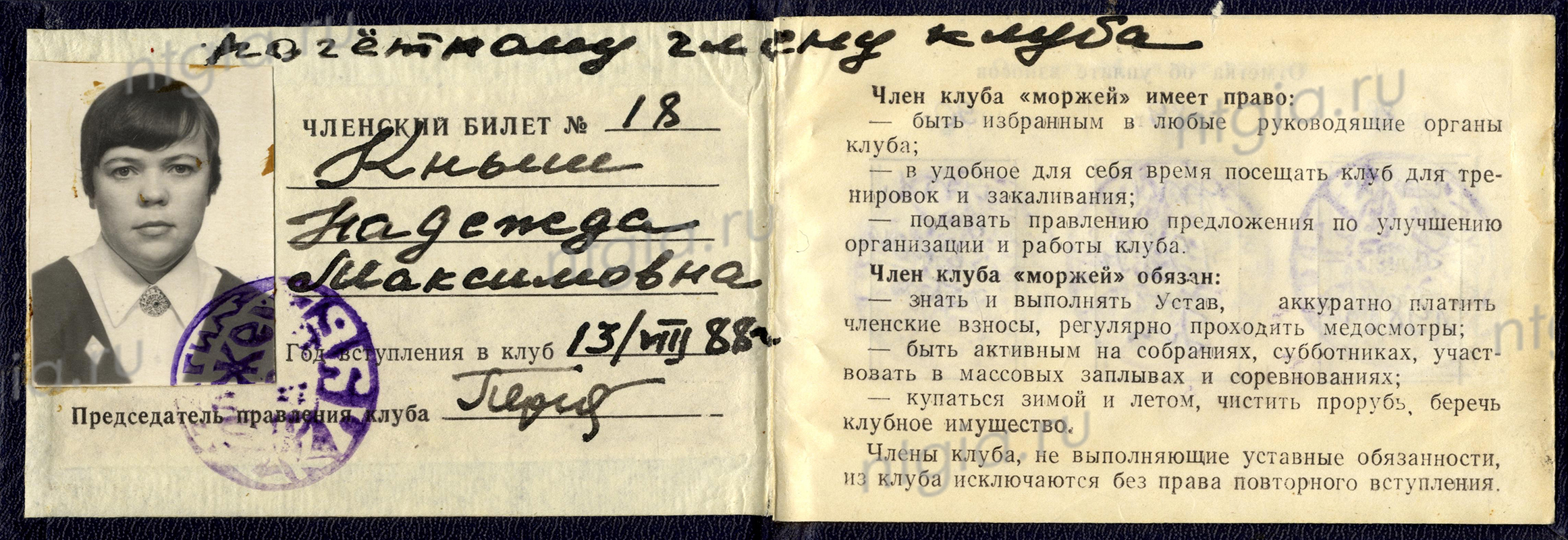 Членский билет №18 Надежды Максимовны Кныш, почетного члена Нижнетагильского клуба «моржей». 13 августа 1988 года. (НТГИА. Ф.650.Оп.1.Д.11.Л.3)