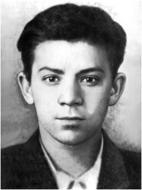 Владимир Иванович Ермак