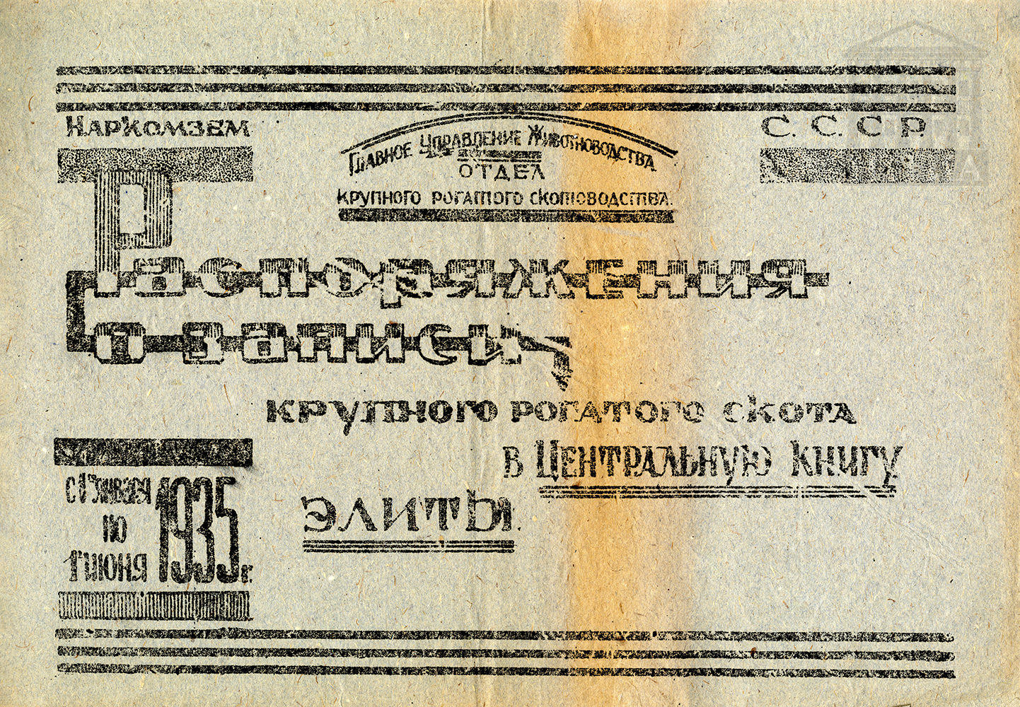 Распоряжения Народного комиссариата земледелия СССР о записи крупного рогатого скота тагильской породы в Центральную книгу элиты. 1935 г. (НТГИА. Ф.488. Оп.1. Д.6. Л.1)