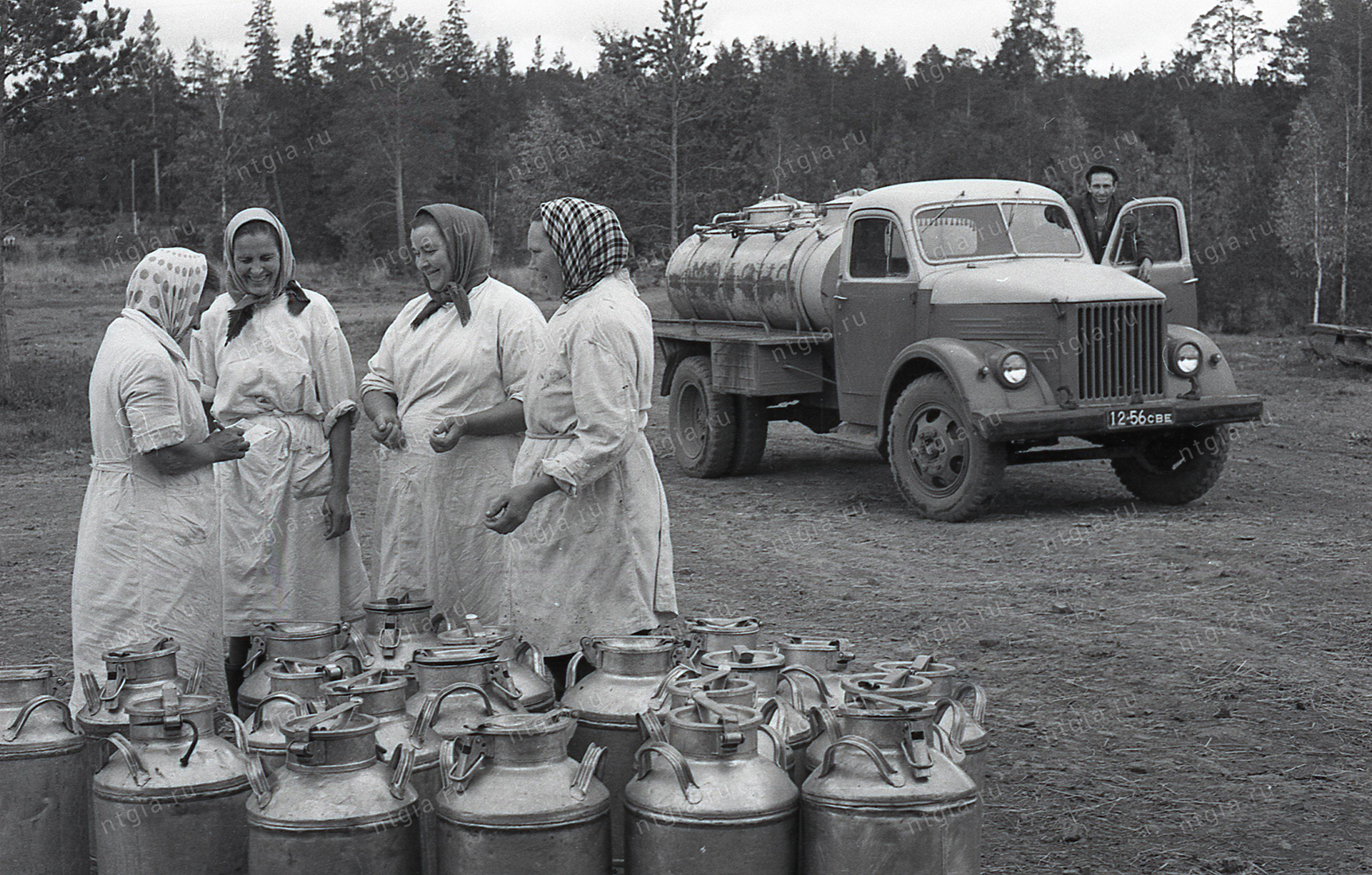 Доярки племенного завода «Тагил». 1963 г. (НТГИА. Коллекция фотодокументов. Оп.1Н. Д.2042)